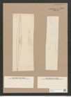 Pleurosigma subrectum Cleve (de-Toni-Nr.: Genus 13, Species 1005) Zeichnungen Sammlung Grunow Nr. 2043 (NHMW-BOT-W0368898)